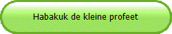 Habakuk de kleine profeet