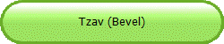 Tzav (Bevel)